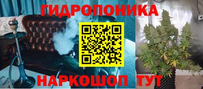 сатива Дубна