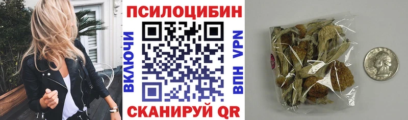 Псилоцибиновые грибы прущие грибы  купить наркоту  Кулебаки 