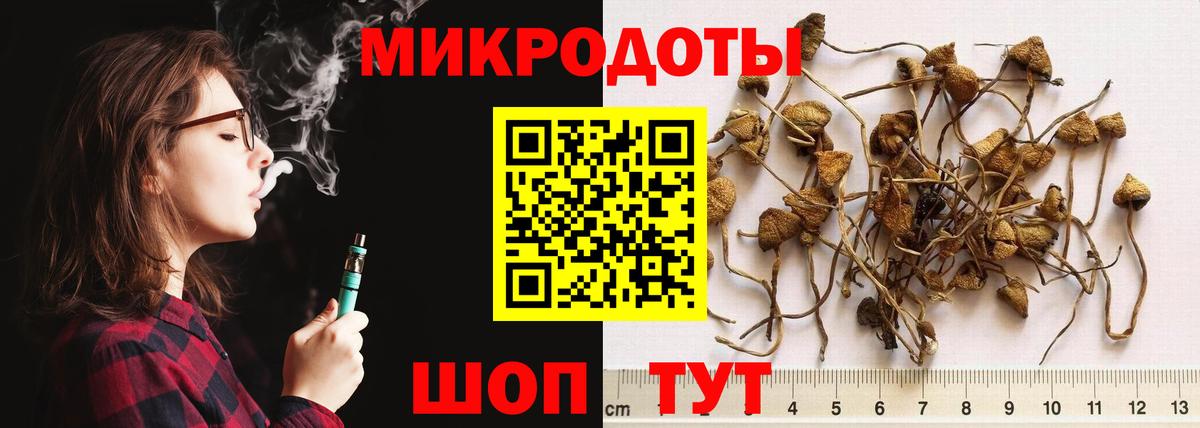 Кулебаки  дарнет шоп  Вход с VPN  Псилоцибиновые грибы прущие грибы 